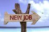 new-job